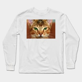 Cute Cat Close-up Photography Long Sleeve T-Shirt
